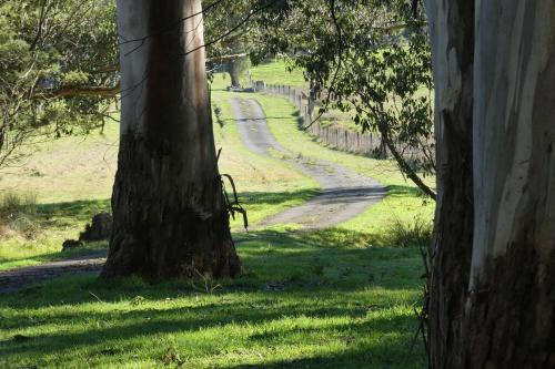 Yellingbo Casa | Creekside Cottage, country escape, Rumbellara farm