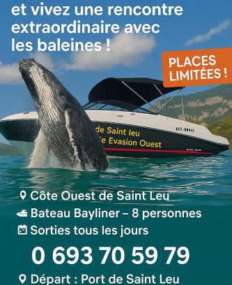 Saint-Leu Alquiler De Eote | Croisièouest bateau privatise O6, 93,70,59,79
