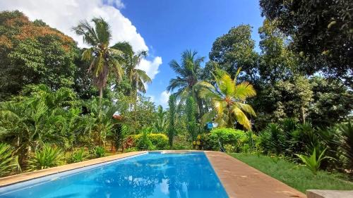 Ukunda Casa | Cycad Palm Diani