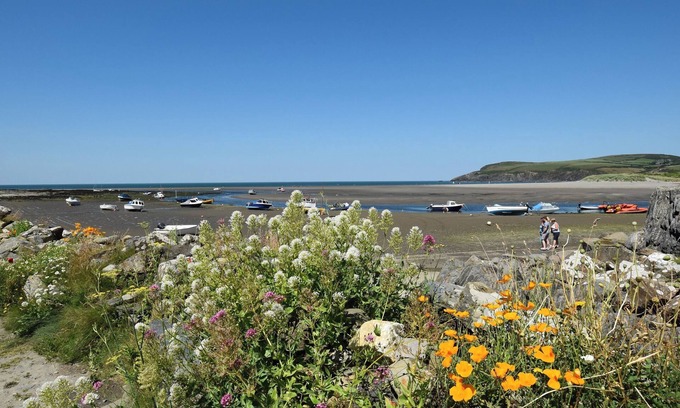 Abercych Cabaña | Cych Cottage