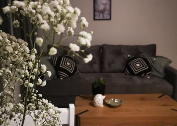 Zamosc Apartamento | Czwarte Piętro