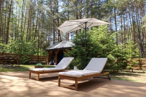 Narewka Chalet De Esquí | Dębowa 18 Forest Home
