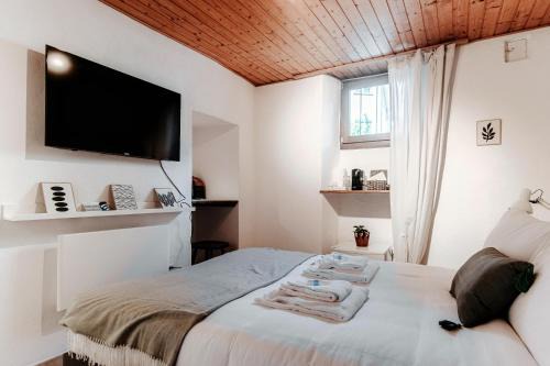 Bellinzona Apartamento | Da Carolina by Quokka 360