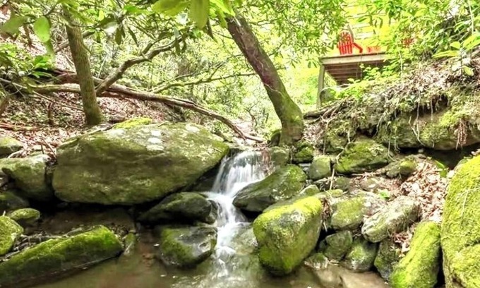 Highlands Cabina | Dancing Bear: Top rated on 2 Private Creek acres w screened porch, WiFi, Grill