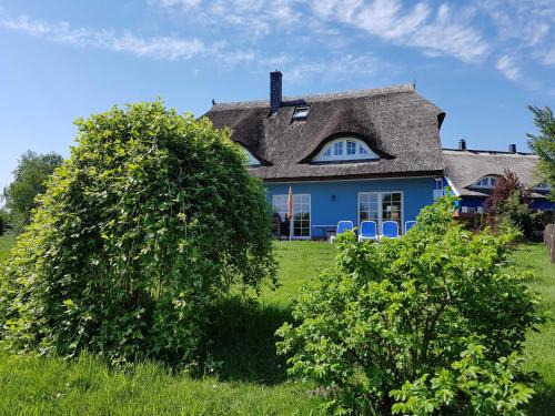Ostseebad Prerow Apartamento | Daniela 2