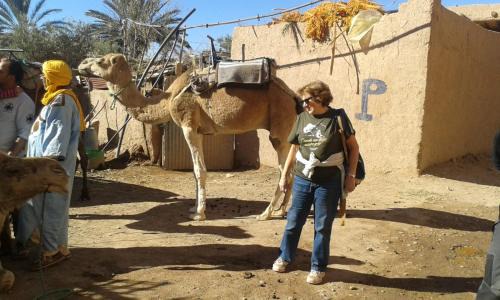 Skoura Hotel | Dar dmana chez l'habitant
