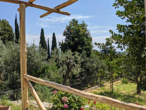 Zagora-Mouresi Casa | Daria's Home