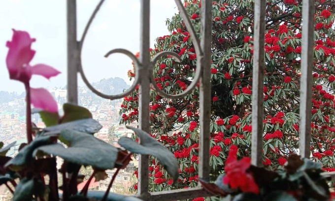 Darjeeling Apartamento | Darjeeling, Adrija Luxury Homestay & Apartments