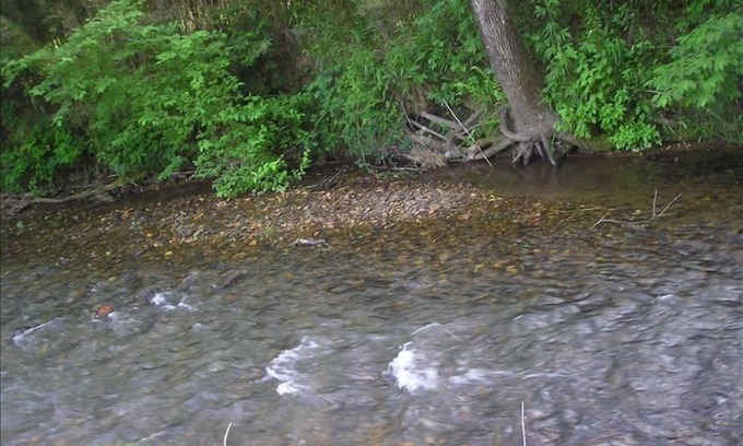 Murphy Chalet De Esquí | Querido Mountain Getaway / Ocho Acres con Aislado Creek Área