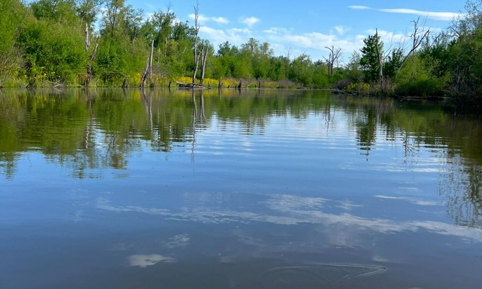 Mozier Cabina | Dave’s River House