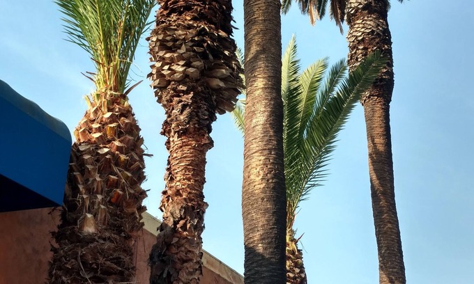 Inglewood Hotel | Days Inn by Wyndham Los Angeles Stadium Area/LAX