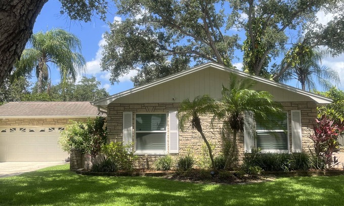 Dunedin Casa | Delightful Dunedin