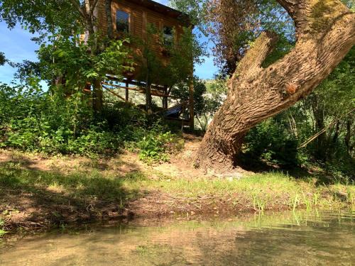 Mostar Otro | Delightful Treehouse w private beach
