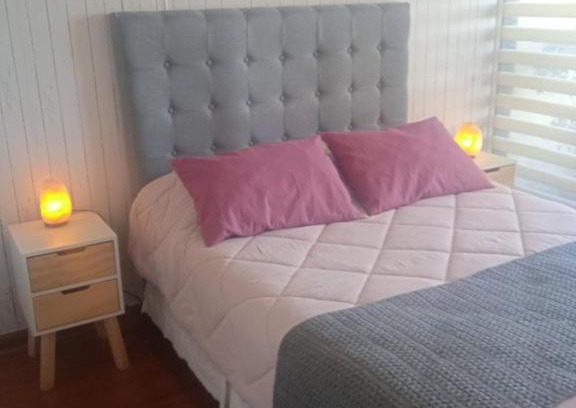 Bellavista Apartamento | Departamento Santiago Centro