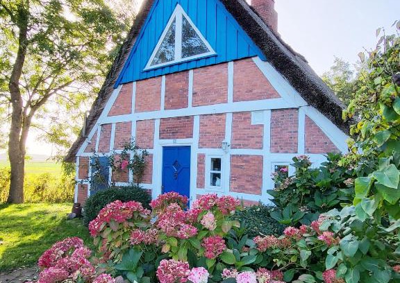 Krummendeich Casa | Die blaue Reetdachkate am Deich
