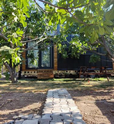 Dikili Otro | Dikili ZeyTiny House
