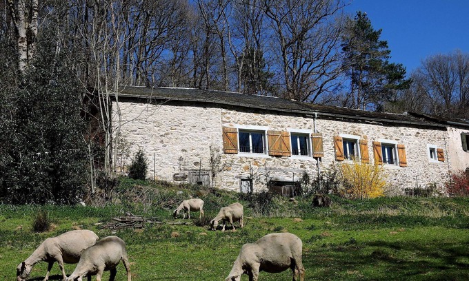 Montredon-Labessonnie Casa | Gran cabaña espaciosa accesible para discapacitados