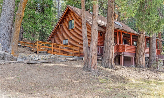 Pine Cove Cabina | Dog-friendly cabin in the woods with WiFi, wood stove, and private washer/dryer