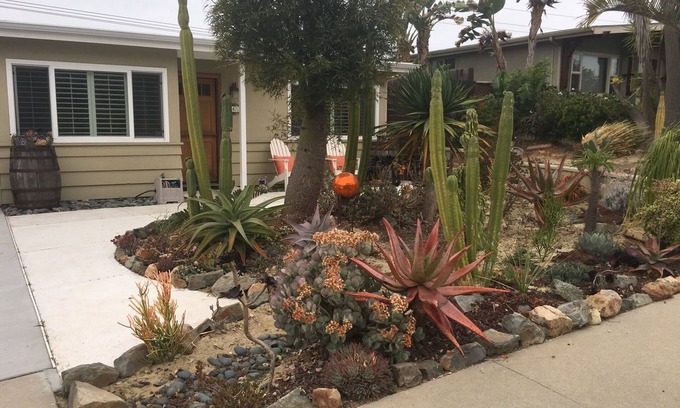 Encinitas Casa | Dogs are FREE🐾🐾
