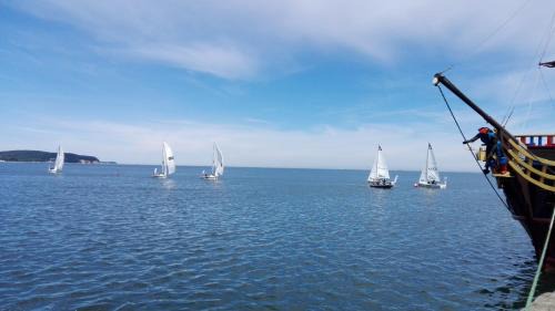 Gorny Sopot Apartamento | Dolina Gołębiewska