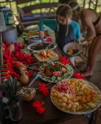 Quebrada La Gamba Cabina | Dolphin Quest Jungle Lodge