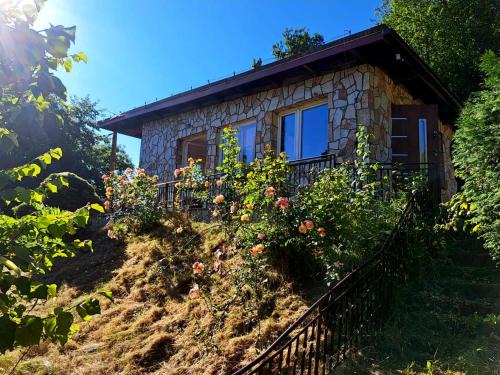 gmina Lubien Casa | Dom z tarasem wśród pól i lasu - przestronny salon, blisko natury