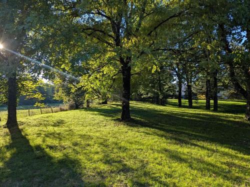 Thiviers Cama Y Desayuno | Domaine De La Sablière