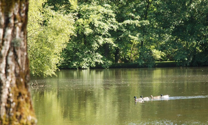 Frejairolles Hotel | Domaine du Grand Chêne