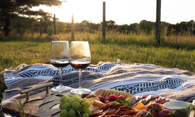 South Haven Cabina | Dome #5 - Dome Haven Glamping - South Haven