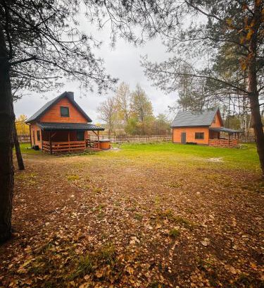 Popielzyn Zawady Apartamento | Domki Bolek i Lolek