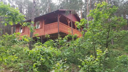 Rakow Chalet De Esquí | Domki w Sosnowym Lesie