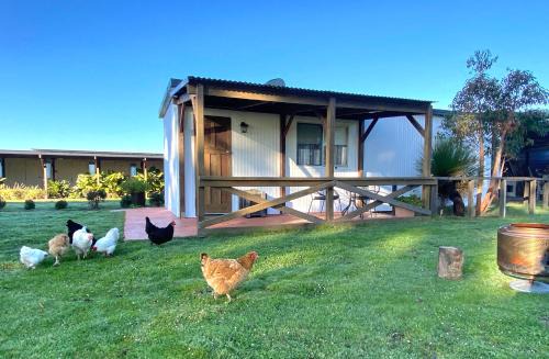Wilga Casa | DONN4254C - Wilga Farm Stay - Cockatoo Cottage