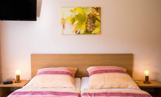 Mehring Cama Y Desayuno | Habitación doble ducha / WC con TV - Gästehaus Alfred u. Brunhilde Frick
