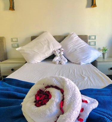 Downtown Cairo Hotel | Downtown Cairo Park Plaza Hotel