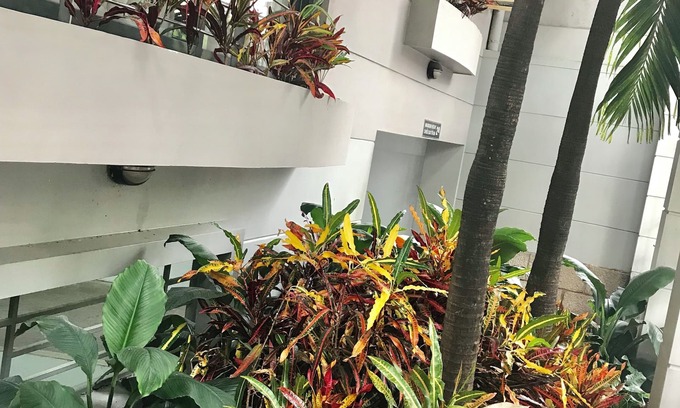 District 3 Apartamento | Downtown Retro Serviced Apartment