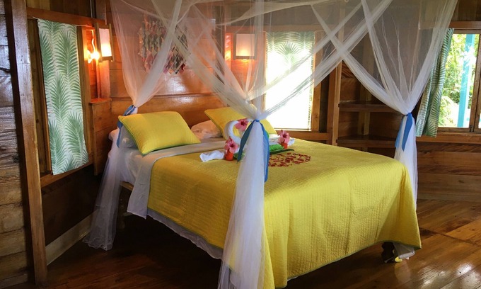 Cave Casa | Cabaña estilo casa del árbol con vista al mar Caribe.