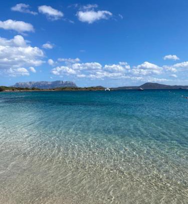 Olbia Cama Y Desayuno | DreamHouse B&B Olbia