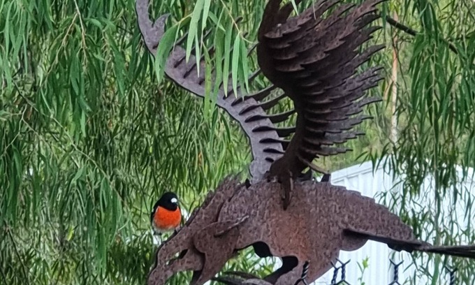 Dwellingup Casa | Escape de vivienda. Gran casa opp Forest. Duerme 8, 1. 5 baños. Juegos Rm