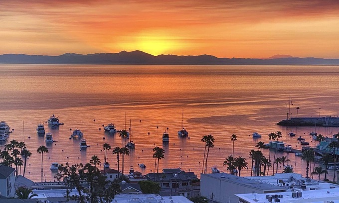 Avalon Casa | Eagle’s Nest | Voted Best Panoramic View in Avalon