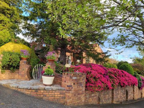 Katoomba Casa | Echo point Cottage