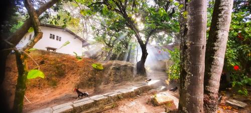 Suape Casa | Eco chalés 1 e 2