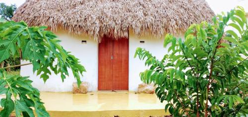 Xocchel Cama Y Desayuno | Eco Hacienda ICH-KI