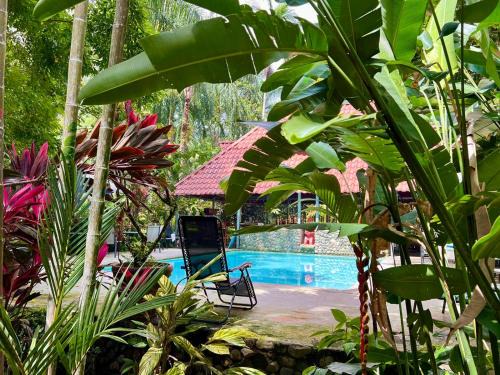 Portalón Cama Y Desayuno | Eco Zaru, Experience Authentic Costa Rican Jungle & Ocean Bliss