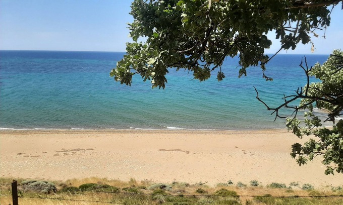 Tavakli Casa | Ekom Cafe Pansiyon