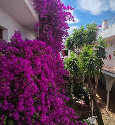 Vilamaniscle Apartamento | El Penell Estudi Mestral