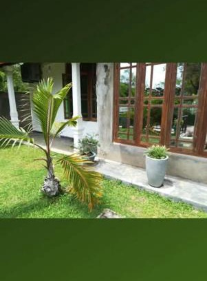 Damana Casa | Elephant View Hotel