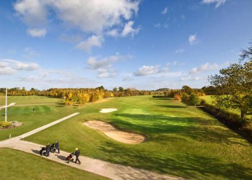 Elton Complejo | Elton Furze Retreats