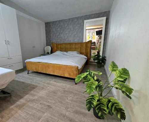 Rishon LeTsiyon Casa | Emile Zola