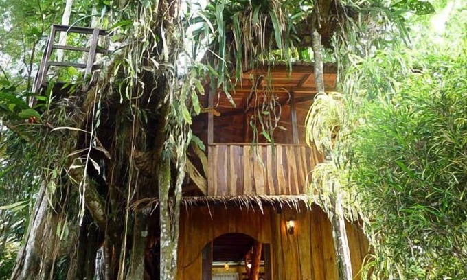Cahuita Casa | Experiencia Enchanted Tree House con todas las comodidades!