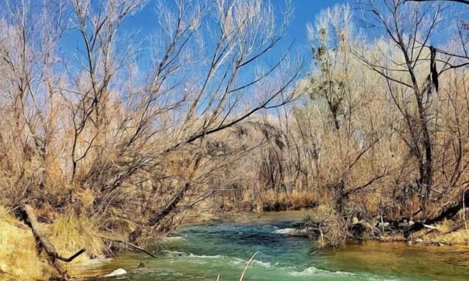 Camp Verde Casa | Enjoy a Hassle Free and Suiting Stay! Pets Allowed, Near Grand Canyon Tours!